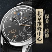 [北京江诗丹顿维修]当代艺术家费利佩·潘通合作回顾